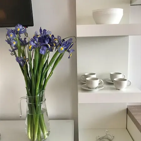 Blu Oltremare _apartmant Appartamento Zara