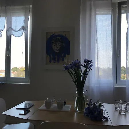 Apartman Blu Oltremare _apartmant Zadar